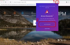 Browser-brave-guida-02