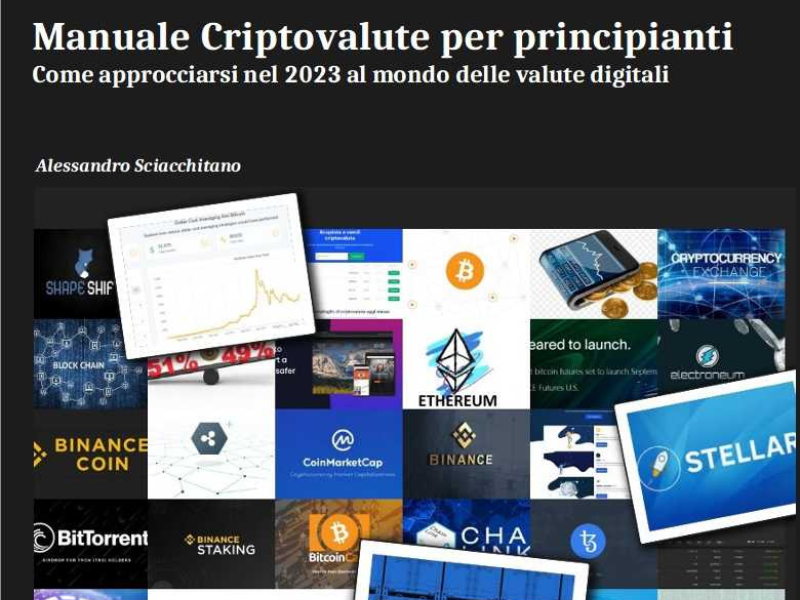 Manuale Criptovalute per principianti Formato Kindle